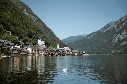 Photos gratuites de autriche, église, hallstatt