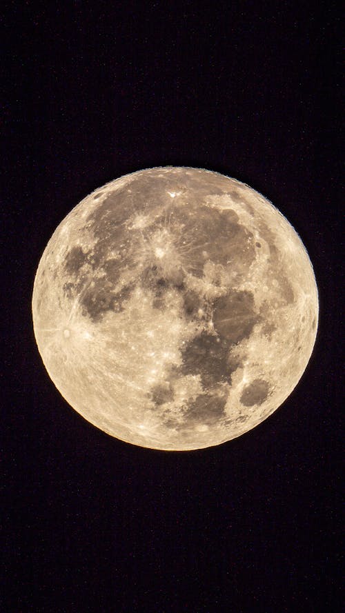 Imagine de stoc gratuită din cer de noapte, fotografiere verticală, lună plină
