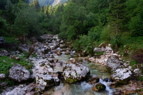 Free A peaceful river flows through a Slovenian forest surrounded by lush greenery and rocky terrain. Stock Photo