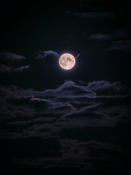 Immagine gratuita di cielo, luna piena, notte