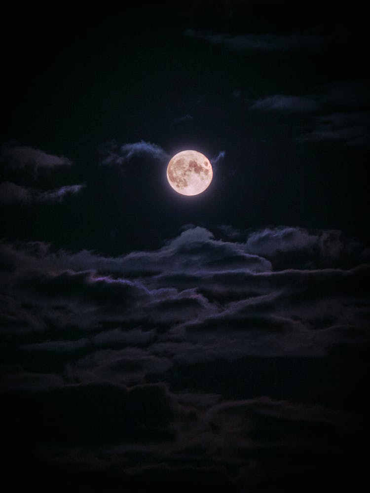 Full Moon In Night Sky