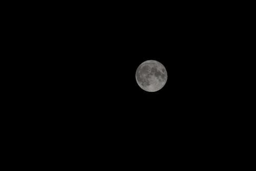 grátis Foto profissional grátis de escuro, fotografia da lua, lua cheia Foto profissional