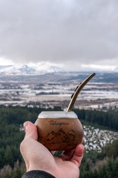 Hand holding a cup of yerba mate with a scenic view of Patagonia mountains and forests.