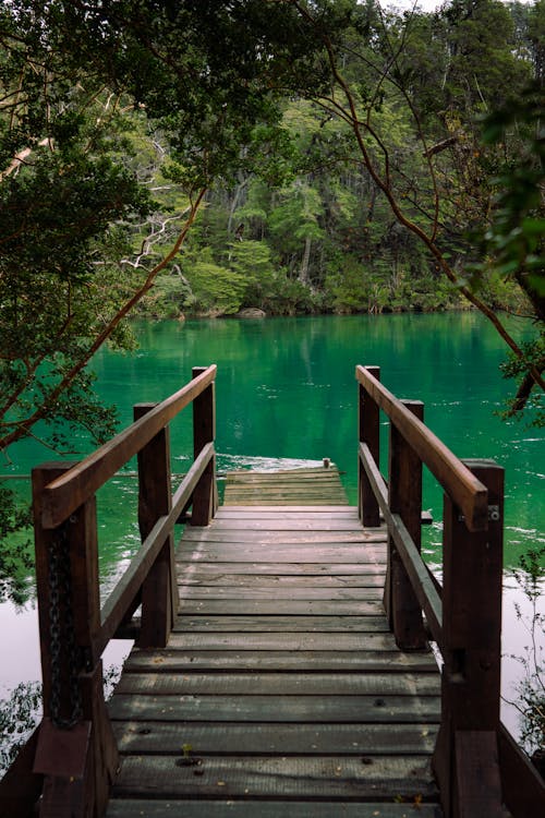 Brown Wooden Boardwalk near Body of Water