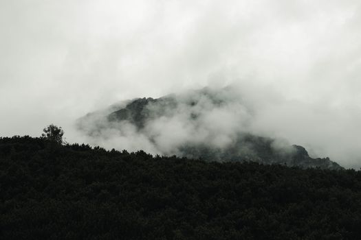 Moody mountain landscape shrouded in fog with lush green vegetation in the foreground.