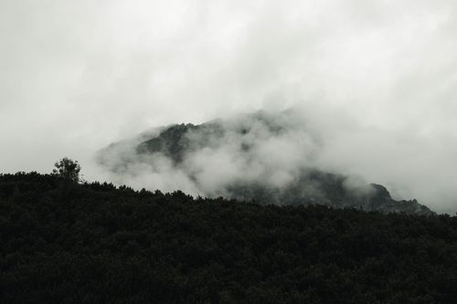 Free Moody mountain landscape shrouded in fog with lush green vegetation in the foreground. Stock Photo