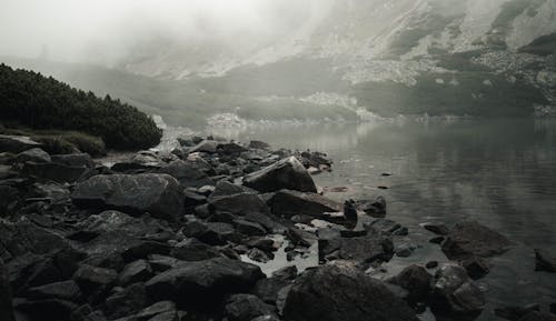 Fotos de stock gratuitas de brumoso, con neblina, con niebla