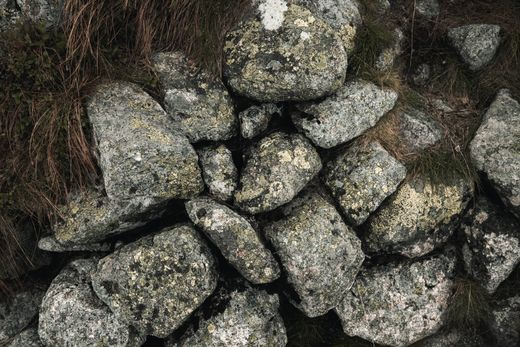 Lichen-covered granite boulders in upland grass — photo by Mateusz Feliksik on Pexels
