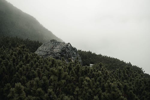 Gratis lagerfoto af bjerg, droneoptagelse, grønne træer