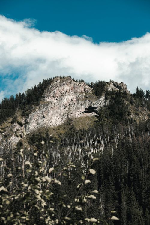 Free A breathtaking view of a mountain peak surrounded by lush trees and a vibrant cloudy sky. Stock Photo