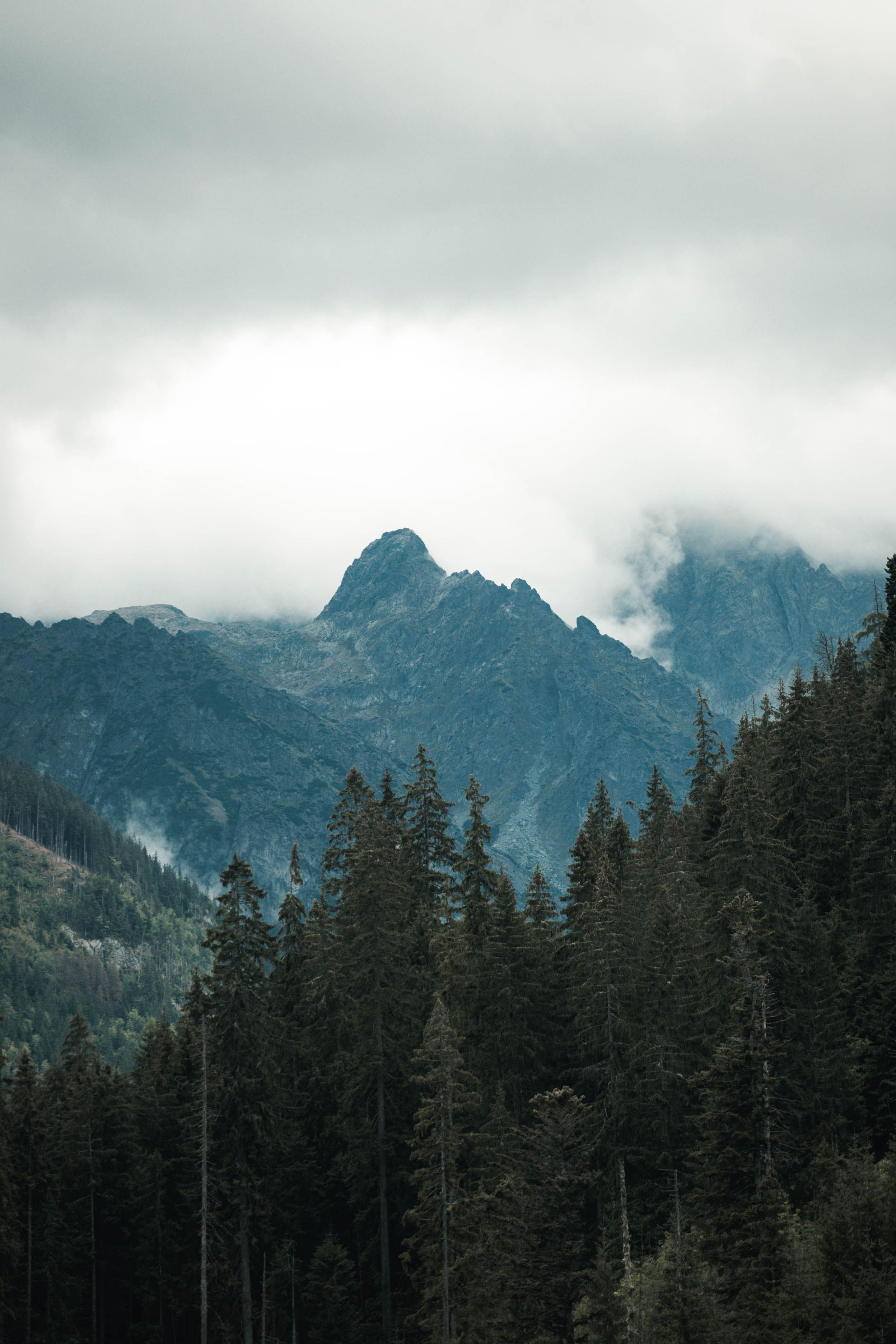 Green Pine Trees Near Mountain Under White Clouds · Free Stock Photo