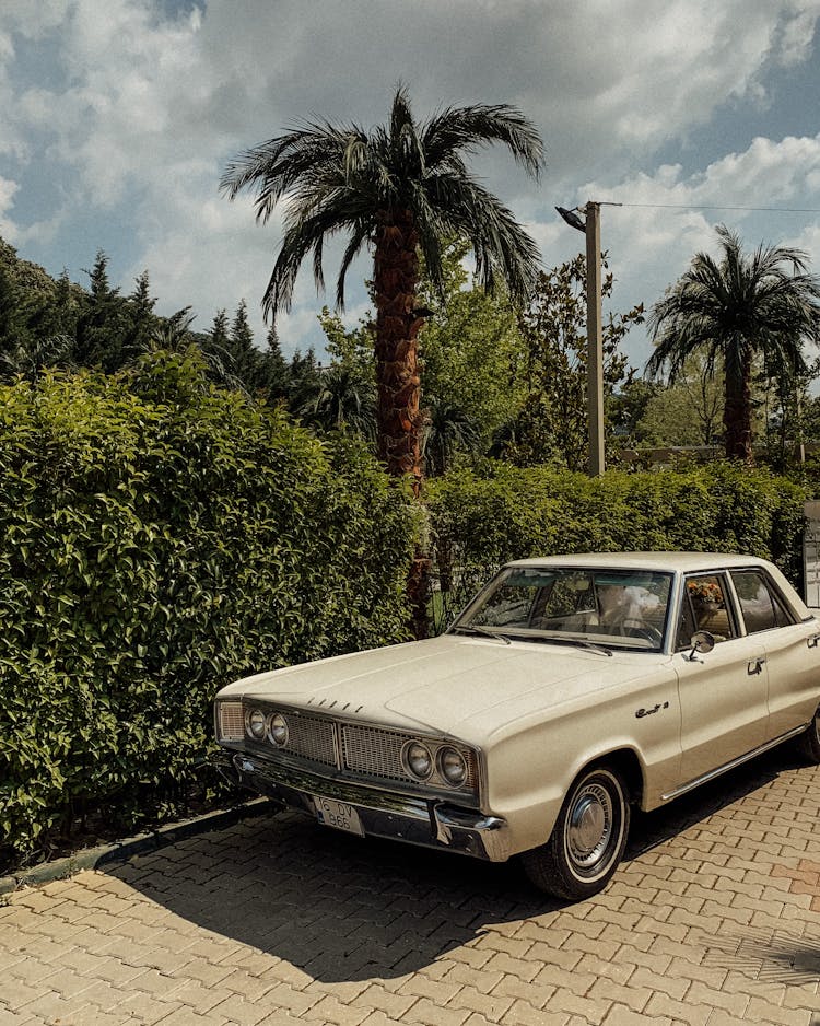 Beige Sedan Parked Beside Green Plants