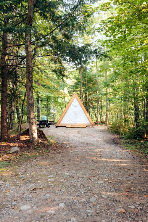 Immagine gratuita di alberi, ambiente, cabina