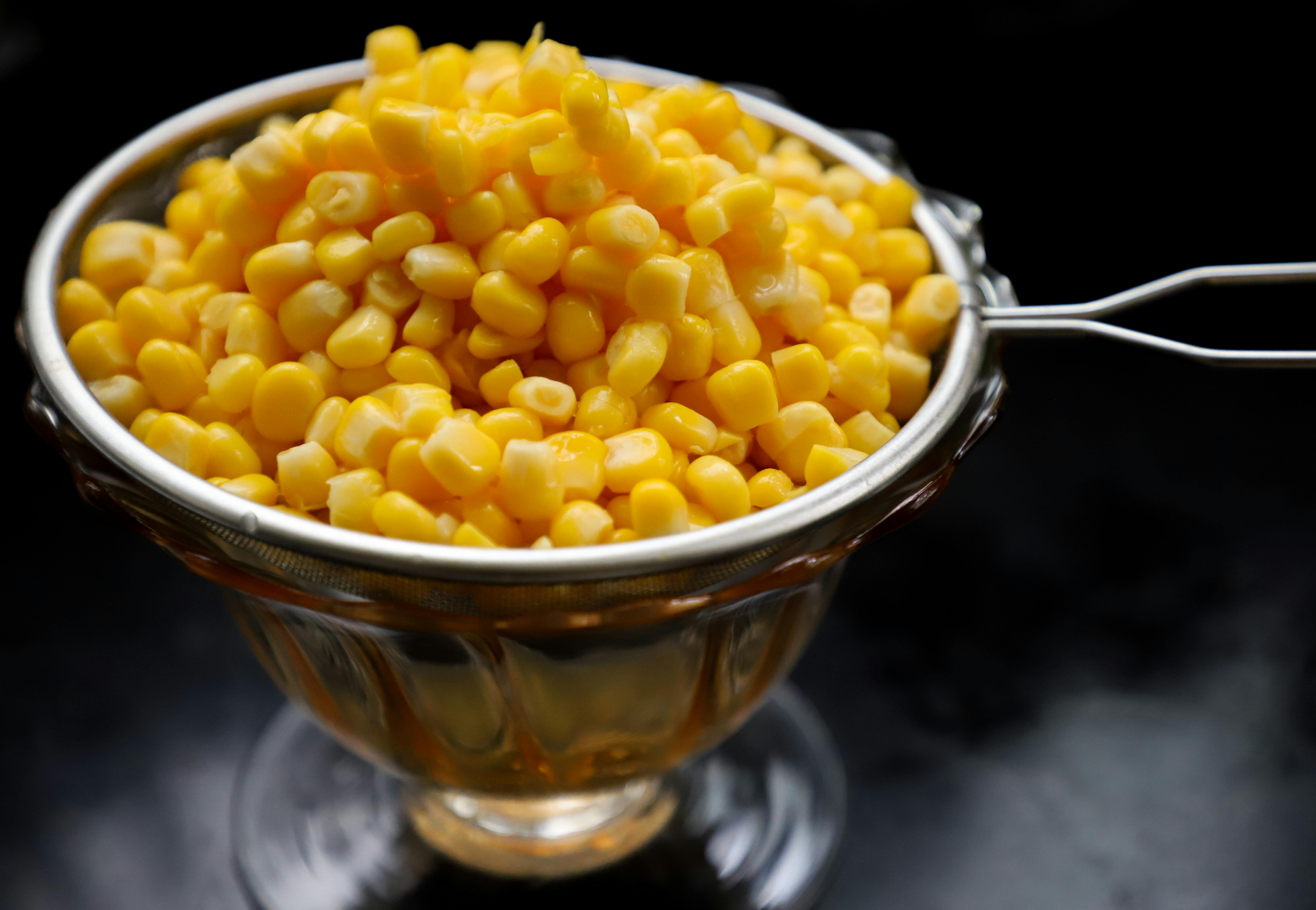 Corn Kernels On Strainer Free Stock Photo corn-kernels-on-strainer-free-stock-photo