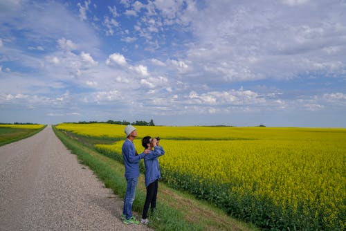 Couple Wearing Blue Long Sleeve Shirts Standing Near Flower Field