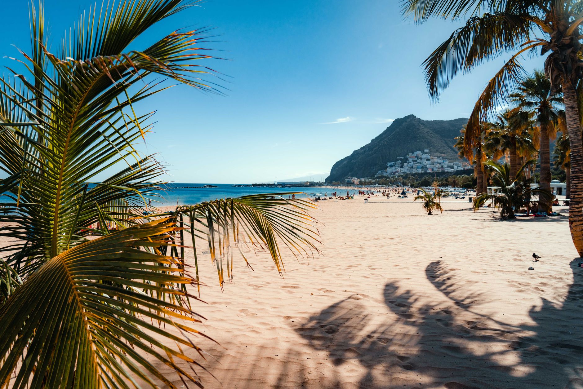 Où partir en hiver pour trouver le soleil ?