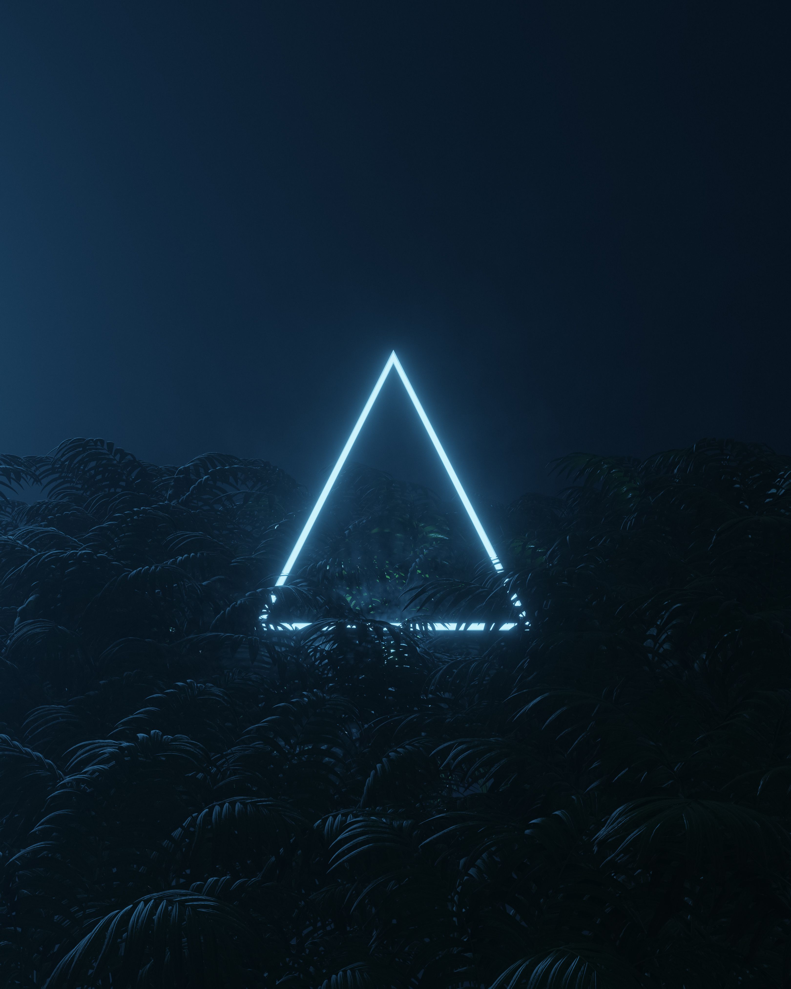 Mysterious glowing neon triangle amidst dense foliage in a dark forest night scene.