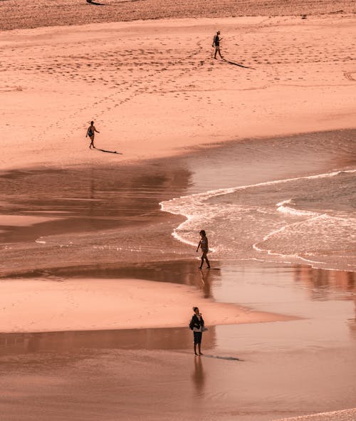 Darmowe zdjęcie z galerii z brzeg plaży, chodzący ludzie, lato