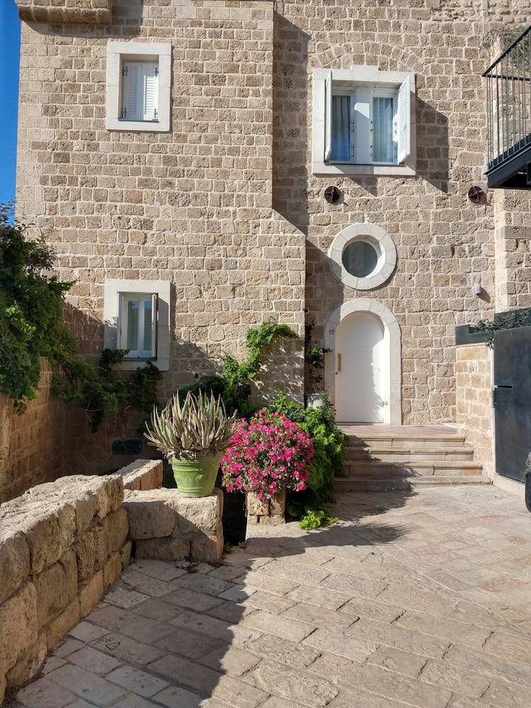 Plants At The Side Of A Home Doorway