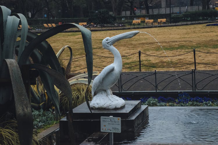 Pelican Sculpture In Park