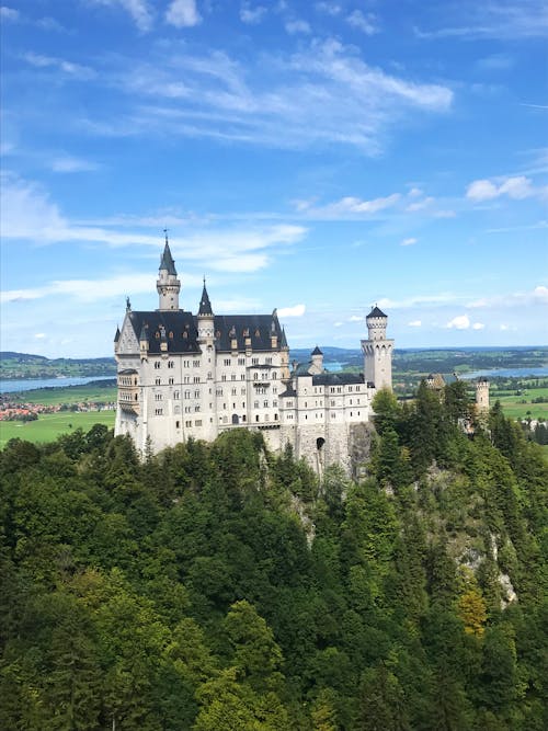 Imagine de stoc gratuită din arbori, călătorie, castel