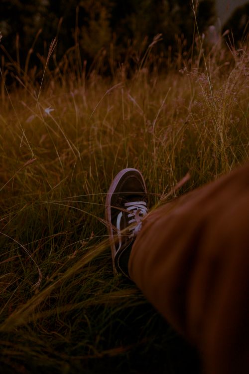 Free A relaxed moment captured in a grassy field, showcasing casual sneakers and natural surroundings. Stock Photo