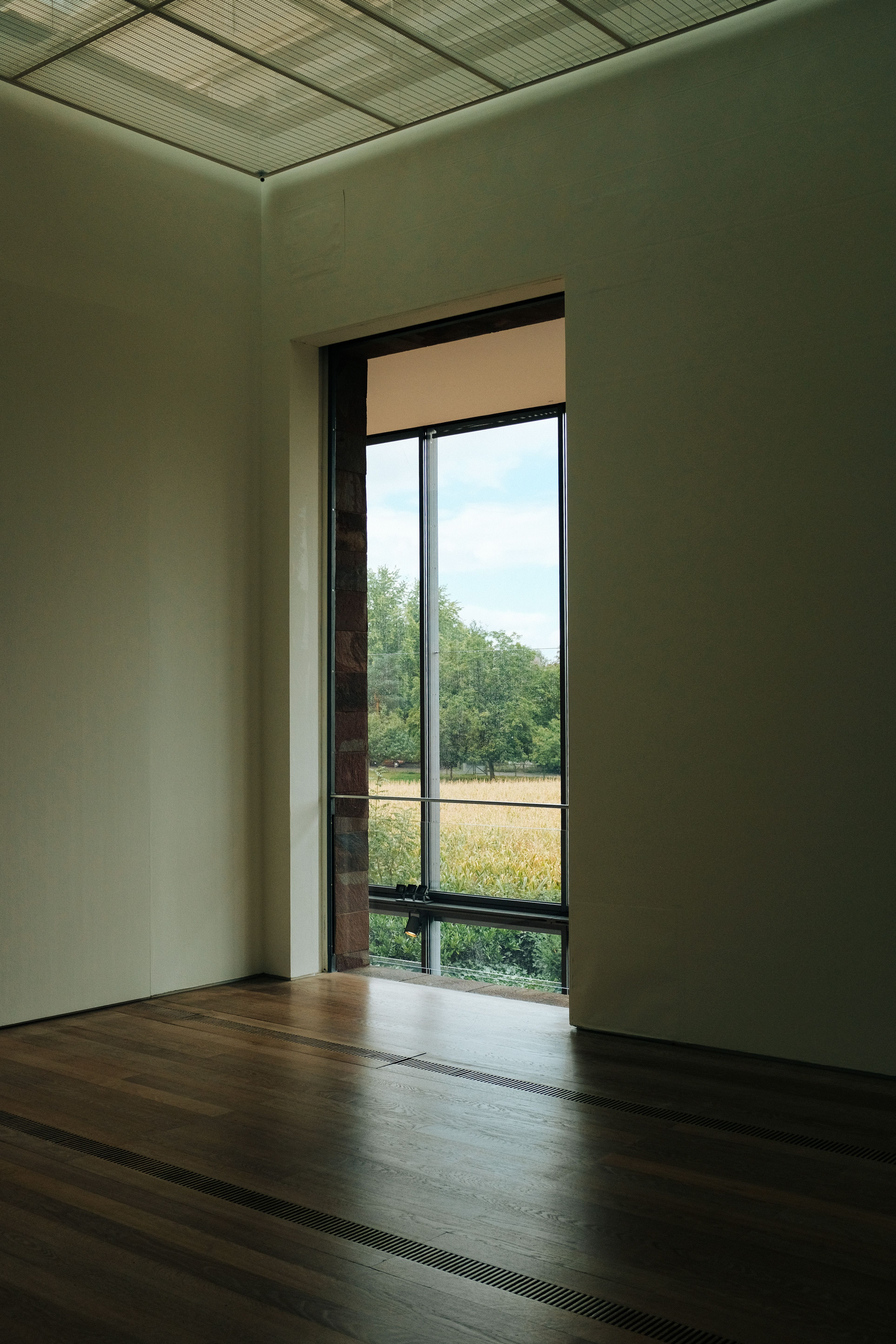 Sunlit modern interior space with a large window overlooking nature.