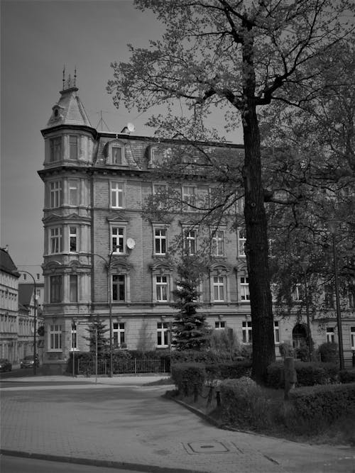 A Grayscale Photo of a Concrete Building Near the Street with Trees