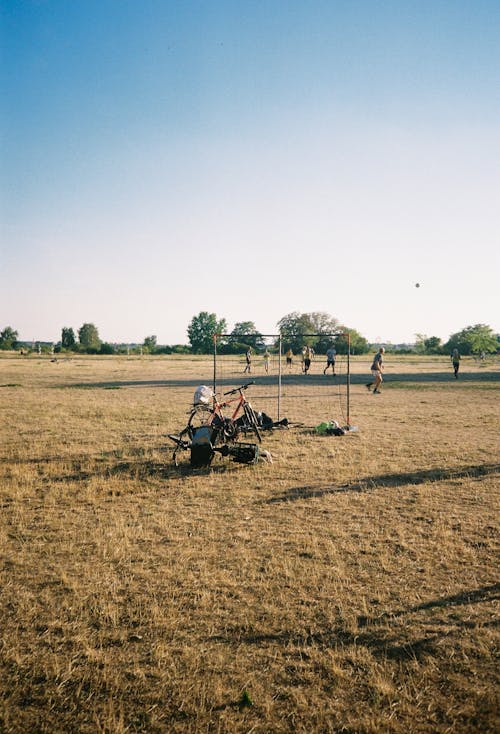 Men Playing Ball in the Field