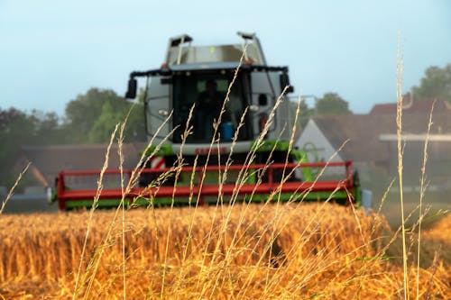 biçerdöver, buğday tarlası, hasat etmek içeren Ücretsiz stok fotoğraf