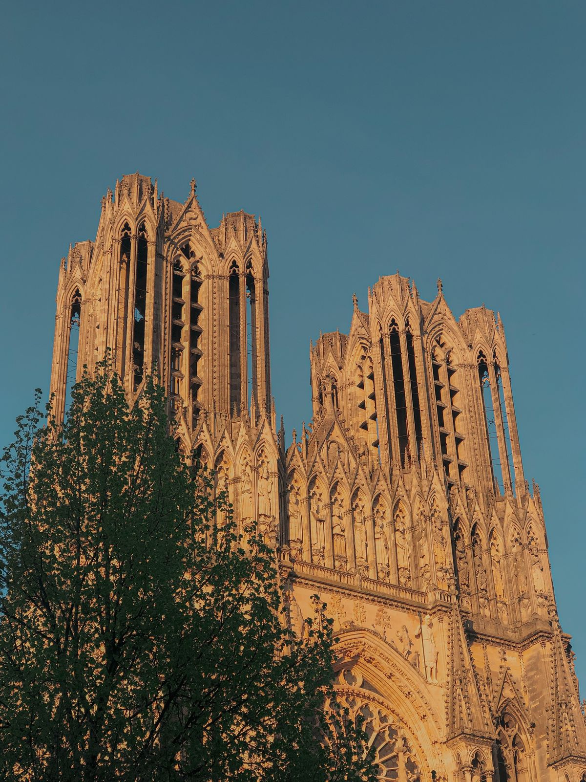 The golden gothic towers of Reims Cathedral at sunset
