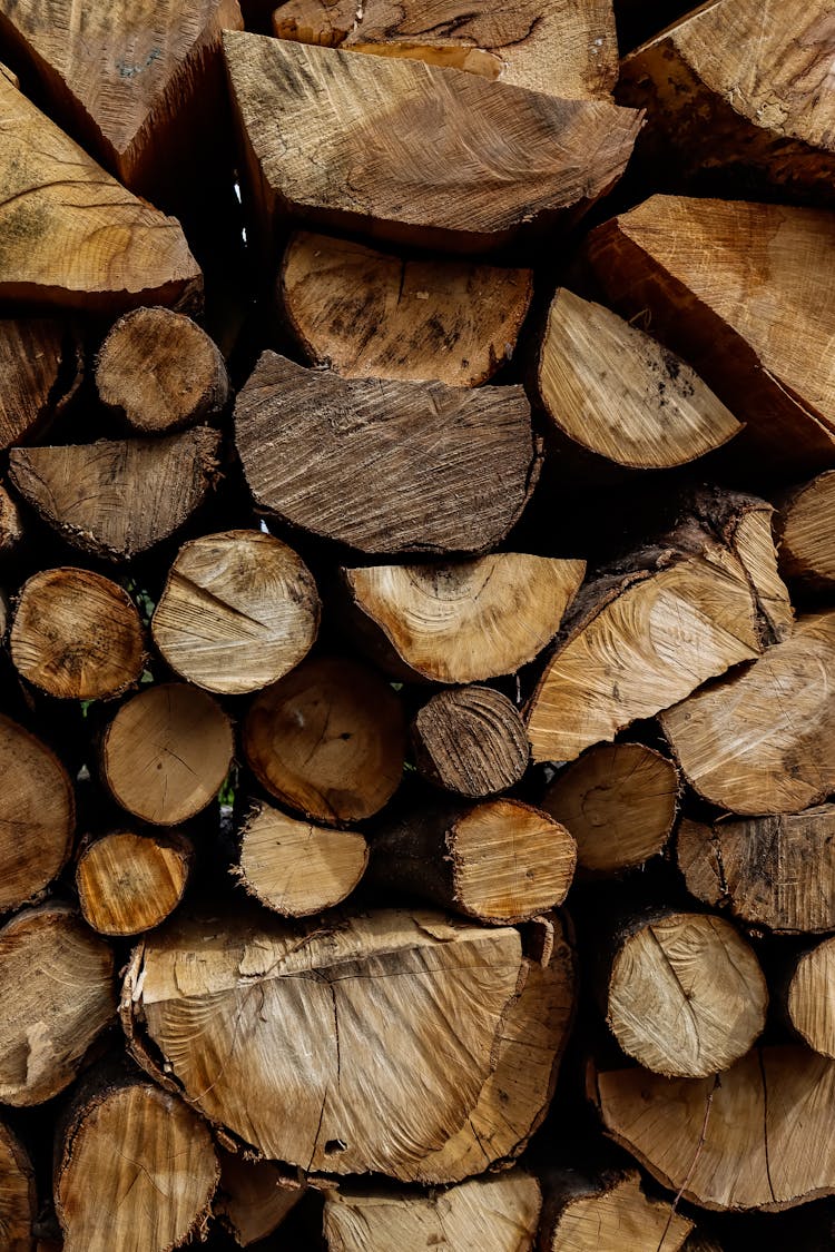 A Stack Of Firewood 