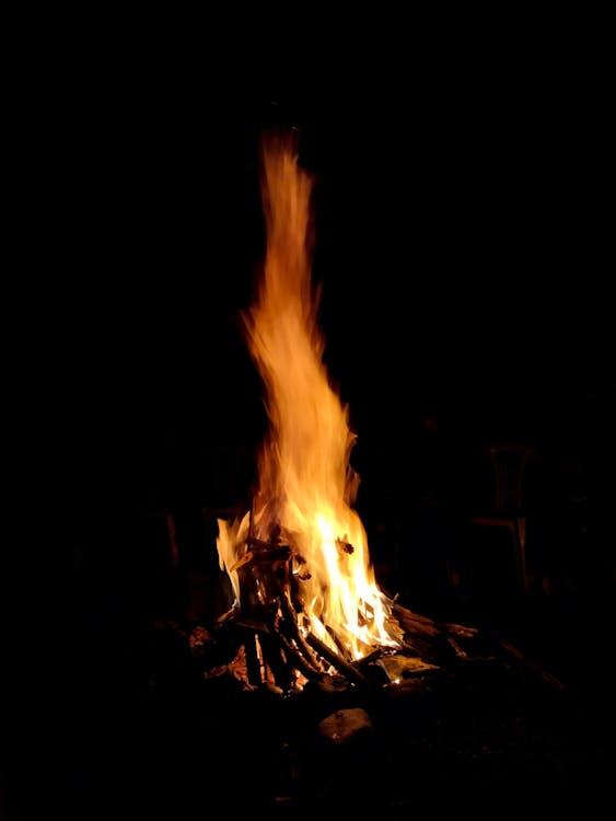 A Campfire in Dark · Free Stock Photo