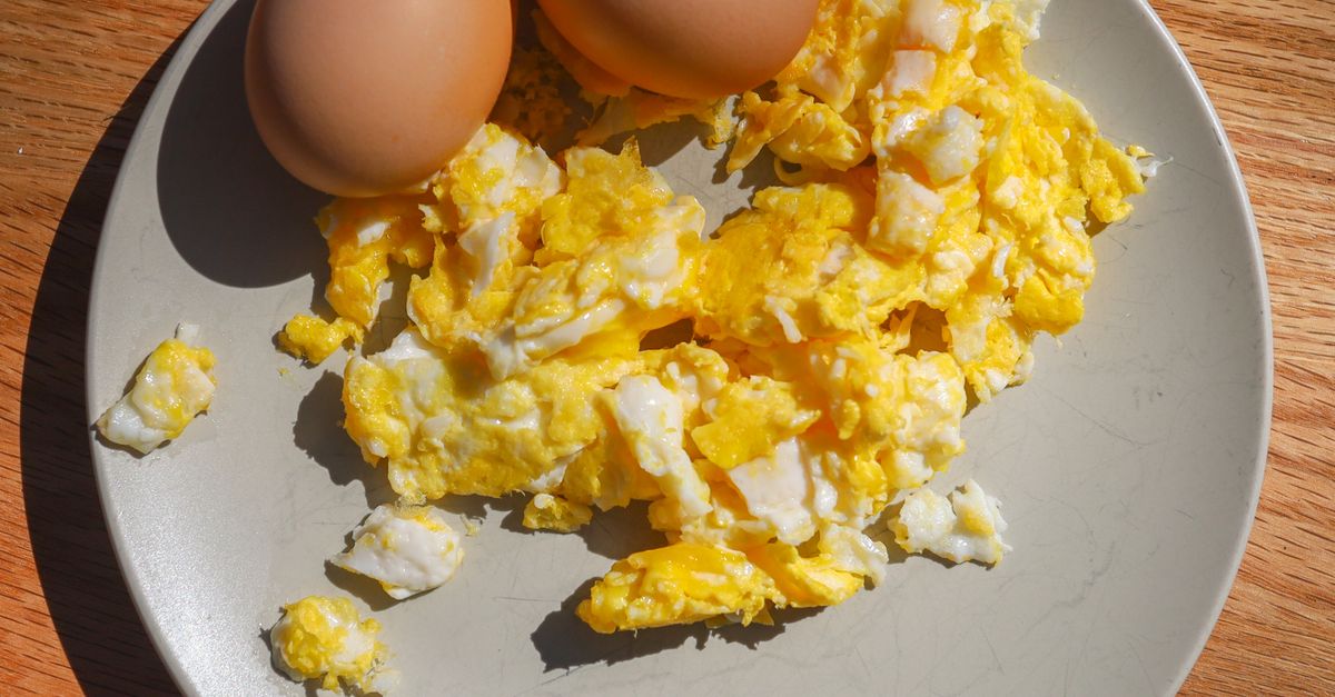 Can Dogs Eat Scrambled Eggs Every Day Plate of plain scrambled eggs beside whole eggs in natural light