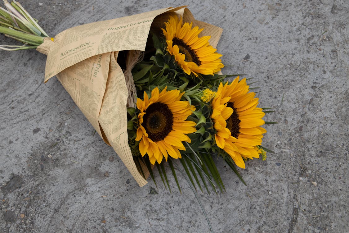 A Bouquet of Sunflowers · Free Stock Photo