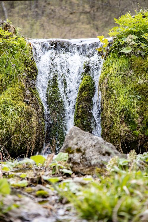 Free Tranquil small waterfall surrounded by lush greenery and mossy rocks. Stock Photo