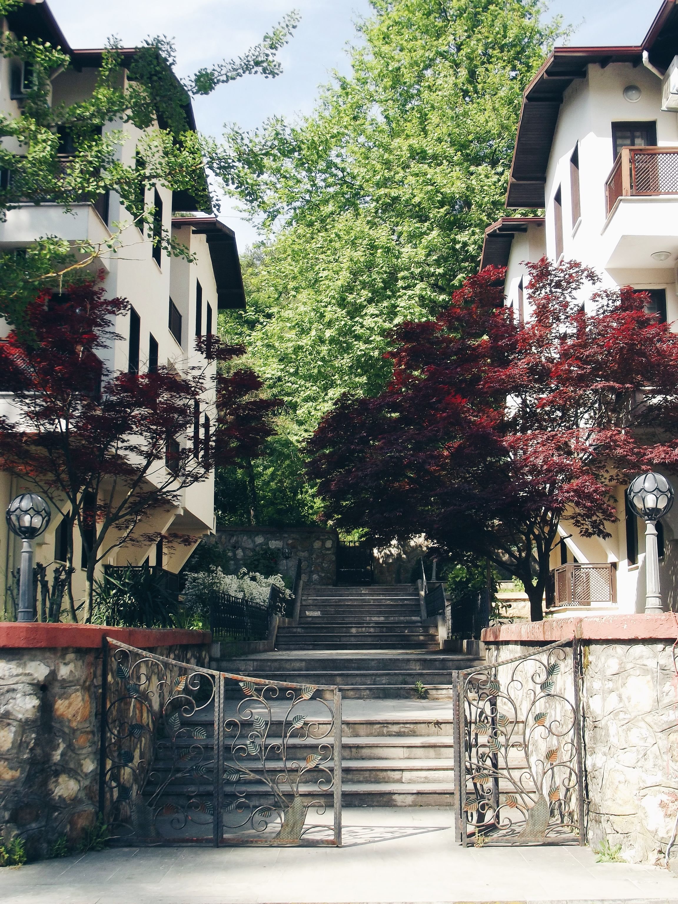 Explore a serene urban pathway flanked by lush trees and buildings in Yalova, Turkey.