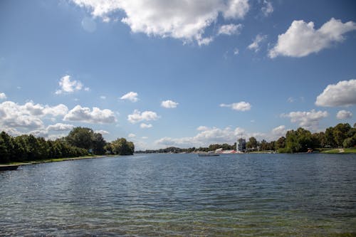 A Green Trees Near the Body of Water Under the Blue Sky and White Clouds