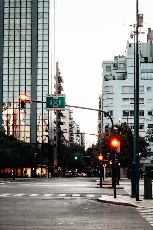 Traffic Lights on the Street Near City Buildings