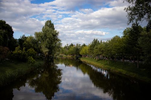 Free A peaceful lake with tree reflections under a cloudy sky. Stock Photo