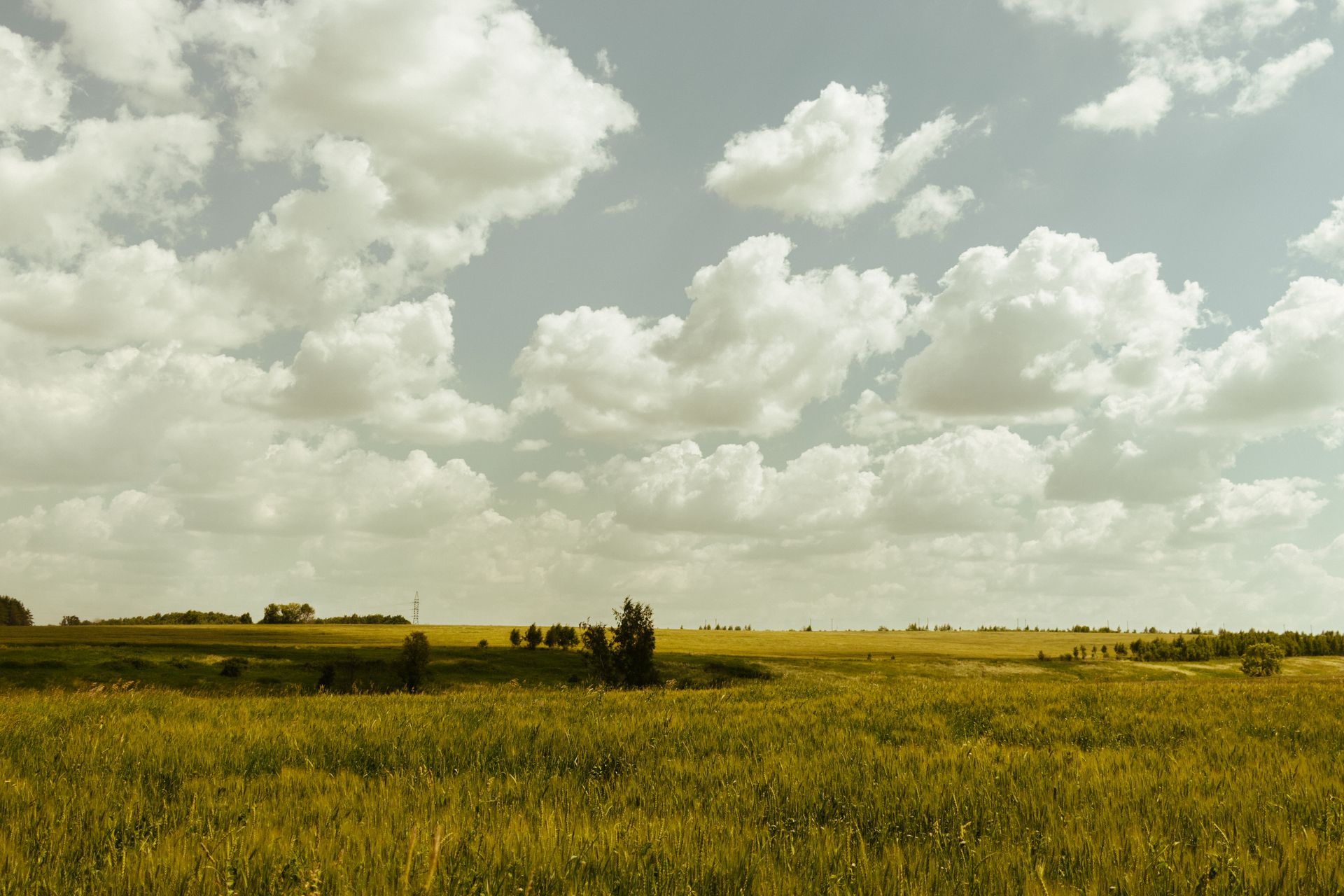 Vast open field with lush green grass under a scenic cloudy sky, capturing serene rural beauty.