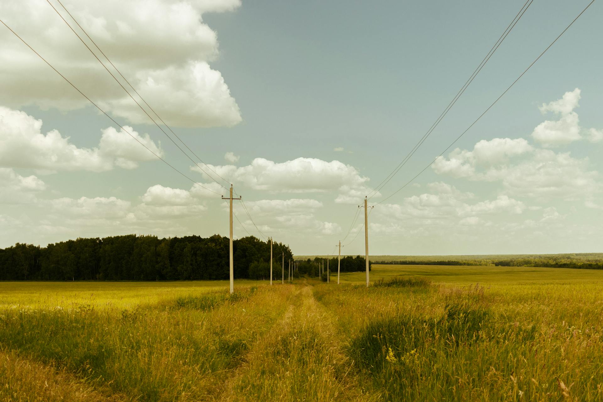 A serene countryside landscape with utility poles along a grassy pathway under a partly cloudy sky.