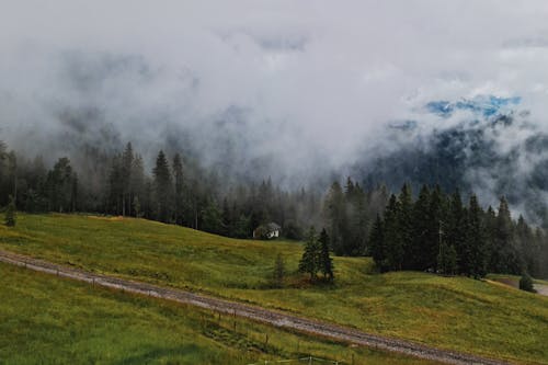 An Aerial Photography of Green Grass Field with Trees Under the White Clouds