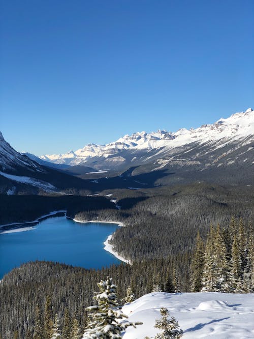 An Aerial Photography of a Lake Near the Green Trees and Snow Covered Mountain