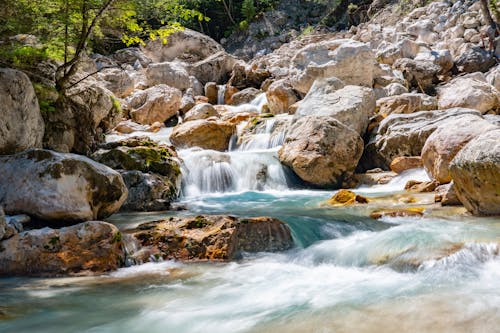 Fotos de stock gratuitas de arroyo, bosque, en cascada