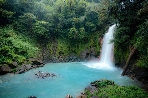 An Aerial Photography of Waterfalls Between Green Trees at the Forest