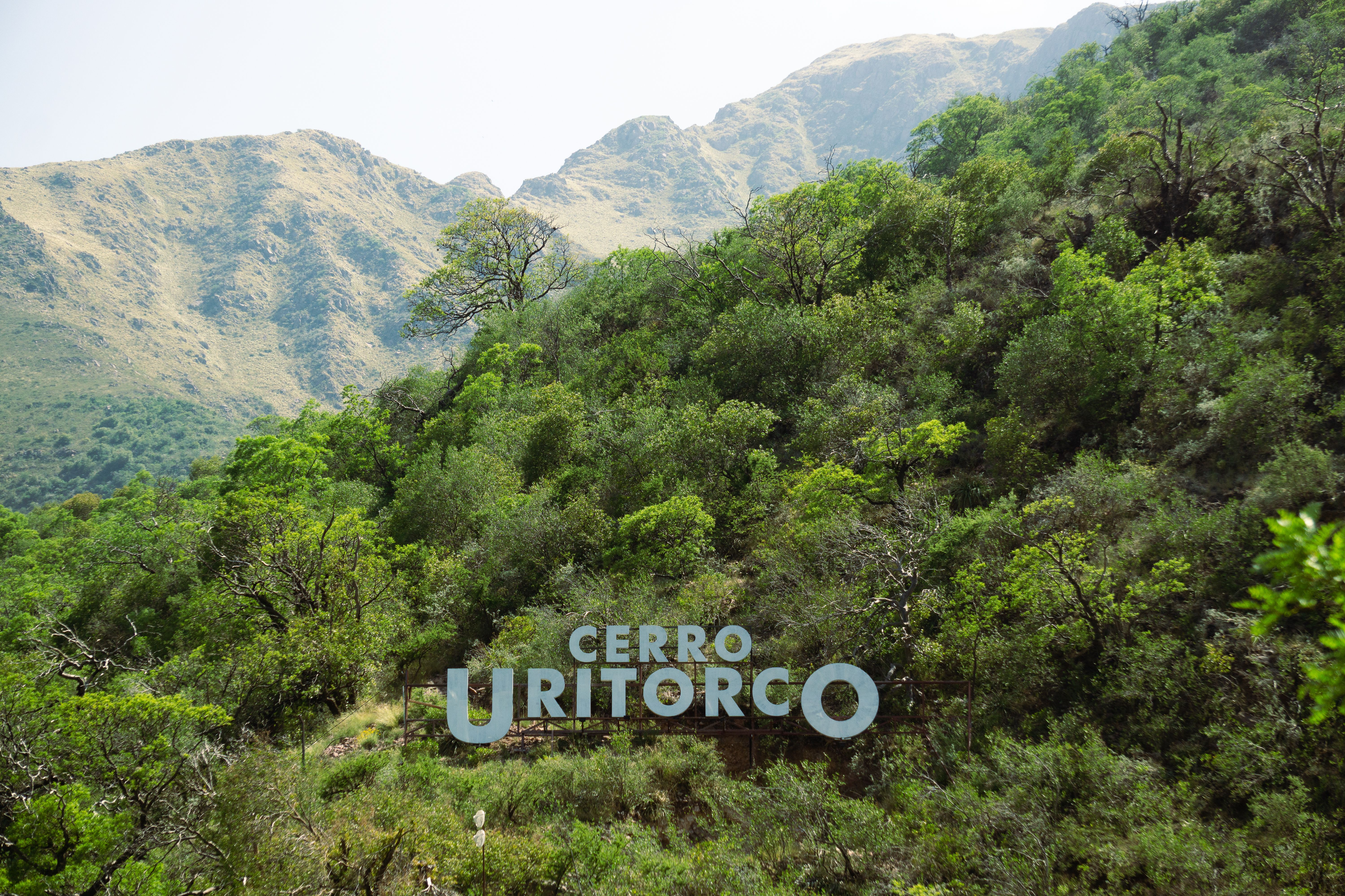 Cerro Unitorco Name among Trees · Free Stock Photo