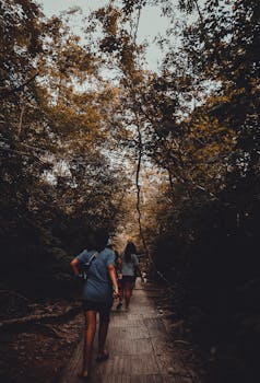 白天，人们在泰国北碧郡探索郁郁葱葱的森林小径