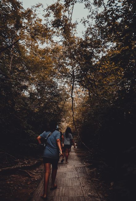 People exploring a lush forest trail in Kanchanaburi, Thailand during the day.