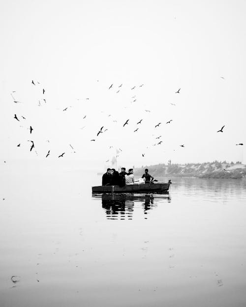 Birds Flying over People in Boat